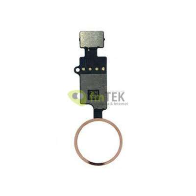 BOTÓN DE INICIO FLEXIBLE IPHONE 7 | 7 MÁS | 8 | 8 MÁS | SE 2020 - FUNCIÓN INICIO