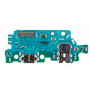 PLACA DE CARGA SAMSUNG GALAXY M33 5G ( M336 )