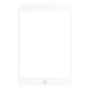TOUCH SCREEN APPLE IPAD MINI 3 - A1599 | A1600 | A1601 - WITHOUT BUTTON