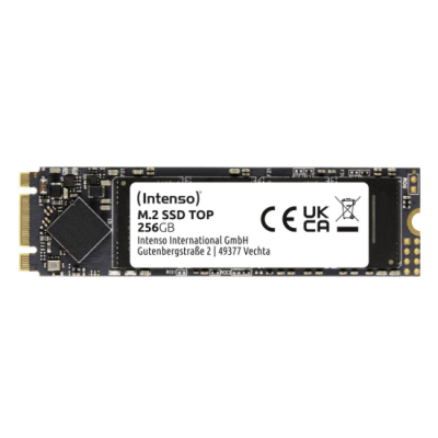 SSD Disk INSYS WH1-140P - 256GB M.2 2280 SATA3