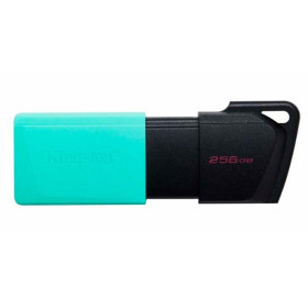 Pen Drive Kingston Datatraveler Exodia M – 256GB – USB 3.2 Gen 1