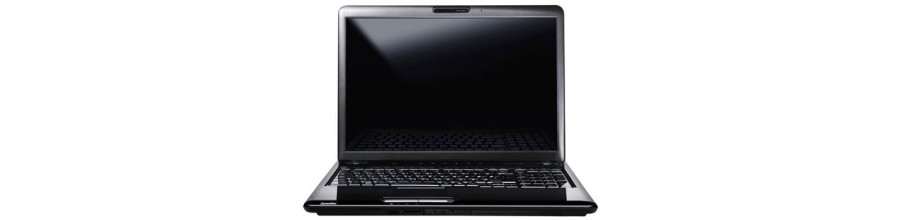 P300