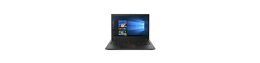 T495S