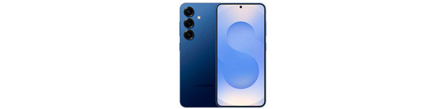S25 (S931)